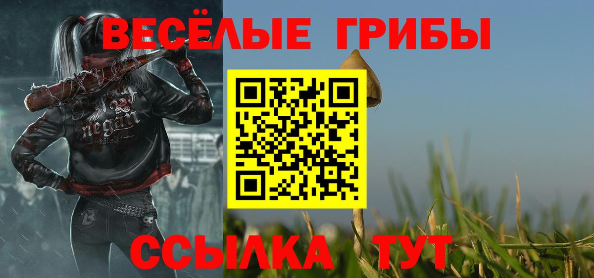 Истра  Галлюциногенные грибы Magic Shrooms  Вход с VPN 